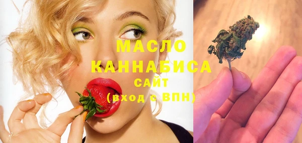 твердый Дмитровск