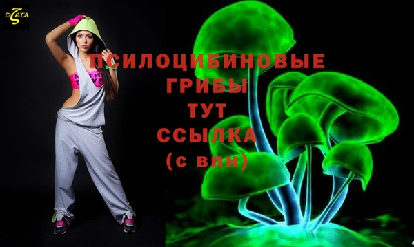 метадон Тавда