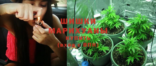 метадон Тавда