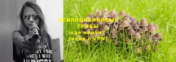 меф Сясьстрой