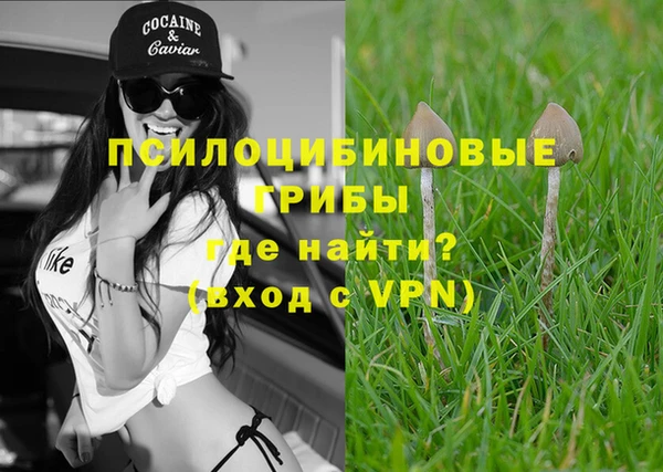 метадон Тавда