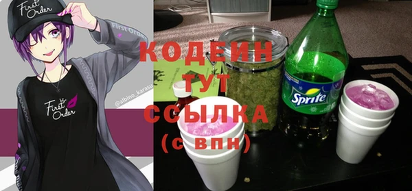 меф Сясьстрой