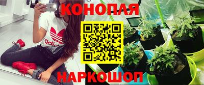гашик Канаш