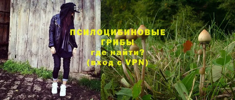 Псилоцибиновые грибы прущие грибы Южно-Сахалинск